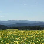 Cafe-pension Feldbergblick 3* Titisee-Neustadt