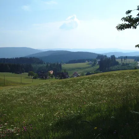Guest house Cafe-pension Feldbergblick Titisee-Neustadt