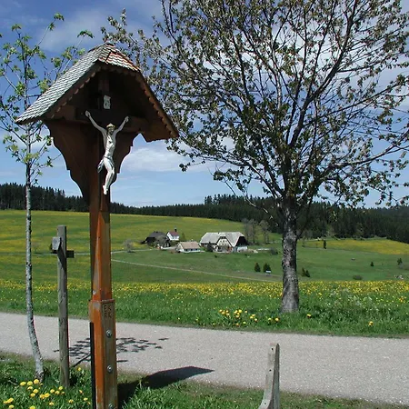 Guest house Cafe-pension Feldbergblick 3*