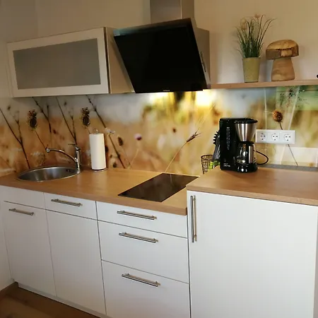 Cafe-pension Feldbergblick 3* Titisee-Neustadt