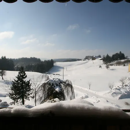 Café-pension Feldbergblick Gasthof Titisee-Neustadt