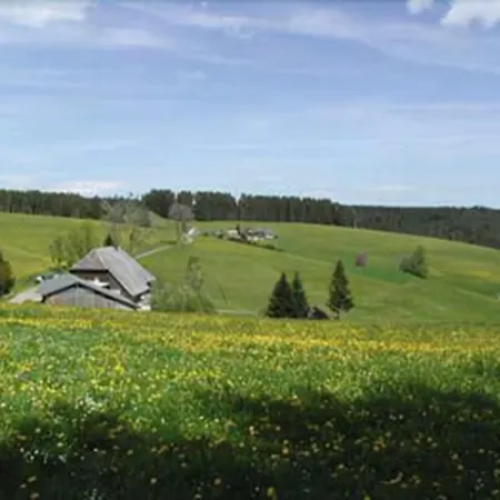 Πανσιόν Cafe-pension Feldbergblick Titisee-Neustadt