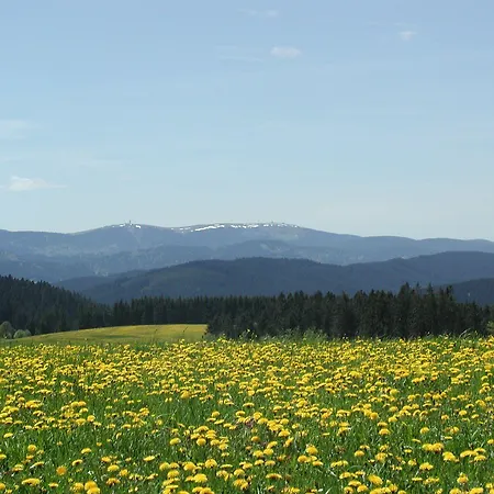 Café-pension Feldbergblick 3* Titisee-Neustadt