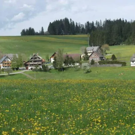 Cafe-pension Feldbergblick Titisee-Neustadt